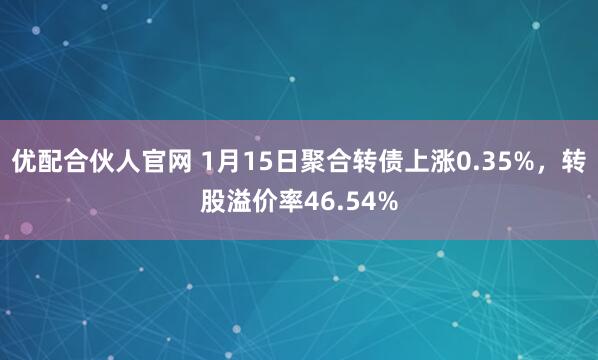 优配合伙人官网 1月15日聚合转债上涨0.35%，转股溢价率46.54%